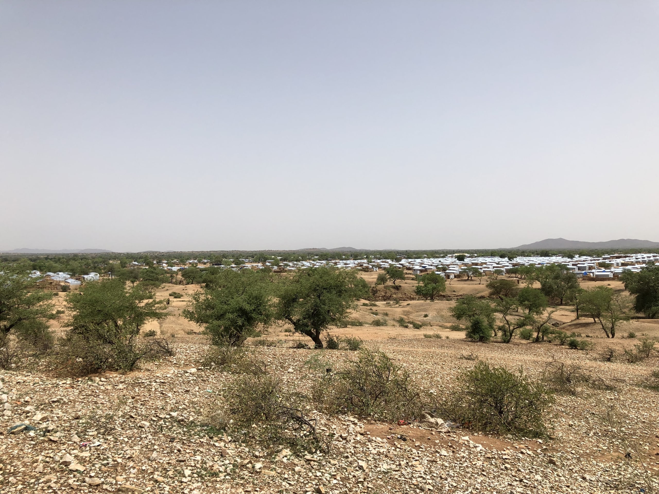 réfugié soudan tchad